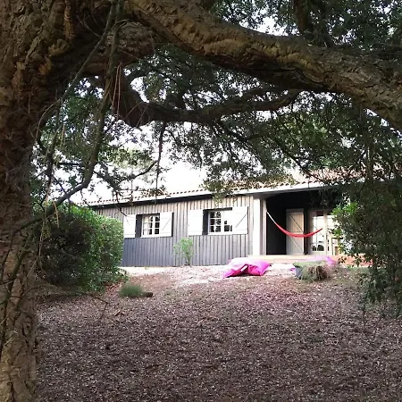 Holiday home Pura Vida
